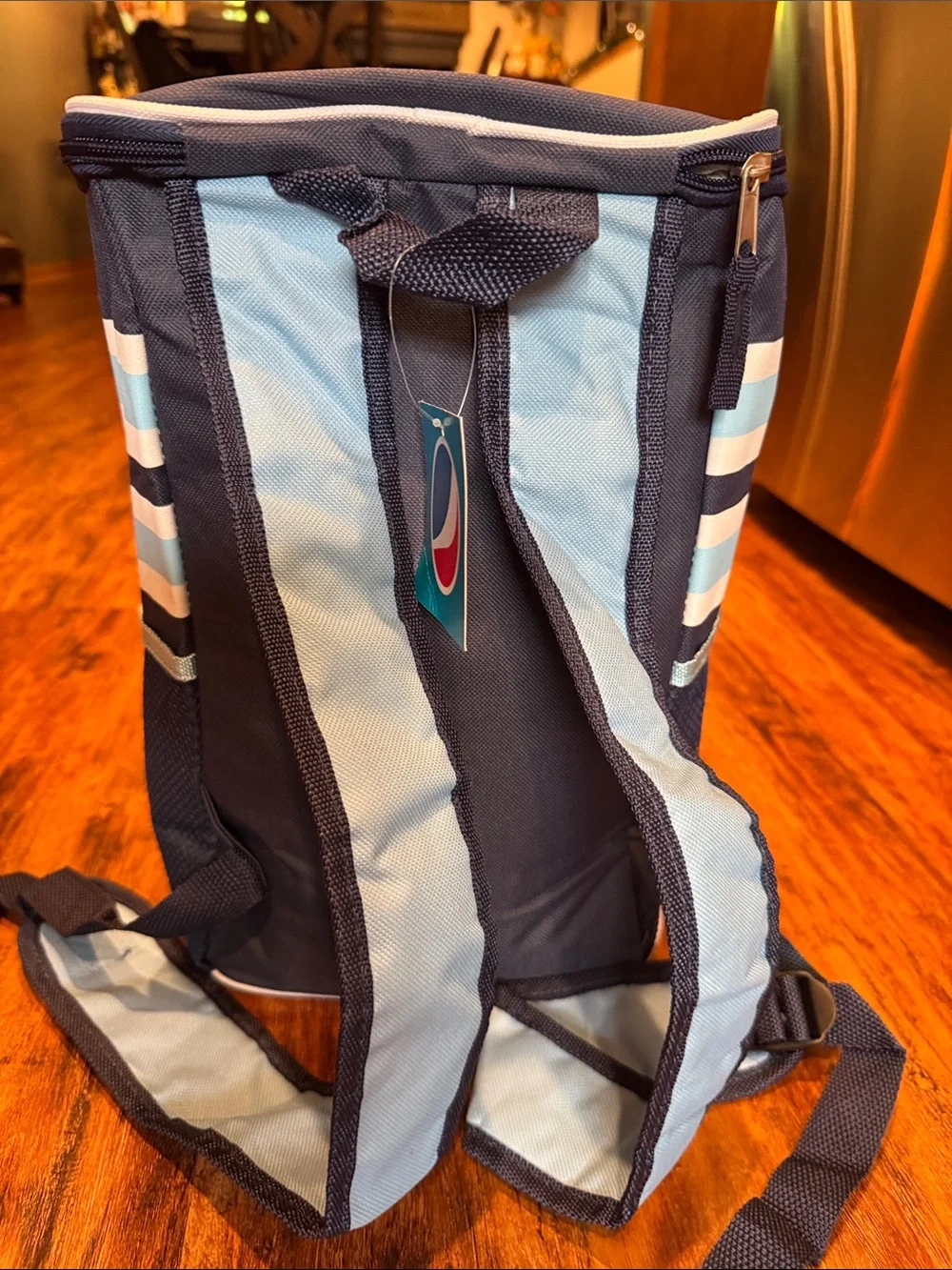 Rays Baseball Cooler Backpack